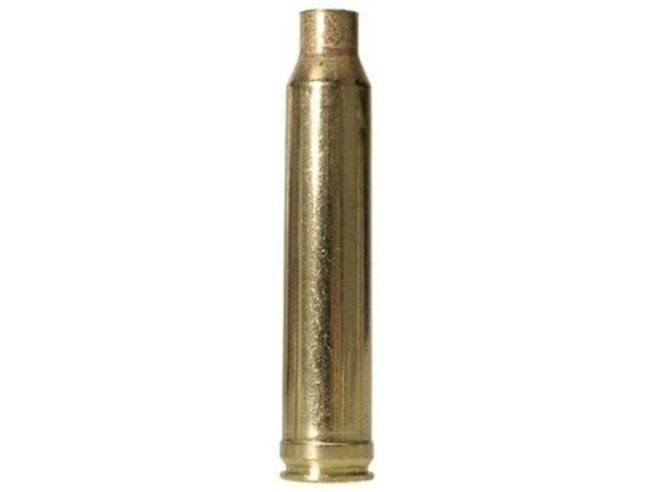 300 win mag brass