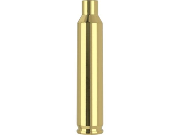 204 brass