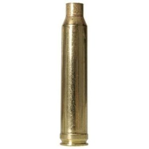 300 winchester magnum brass